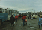 Terminal de buses