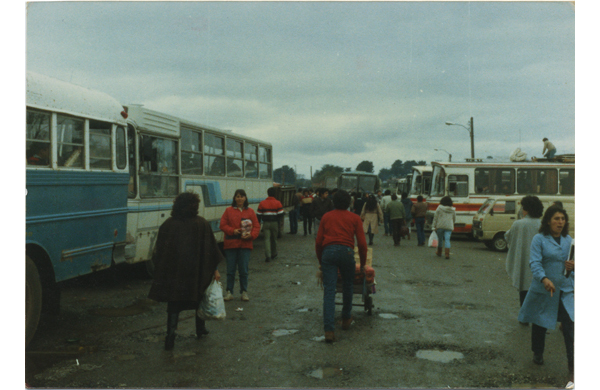 Terminal de buses