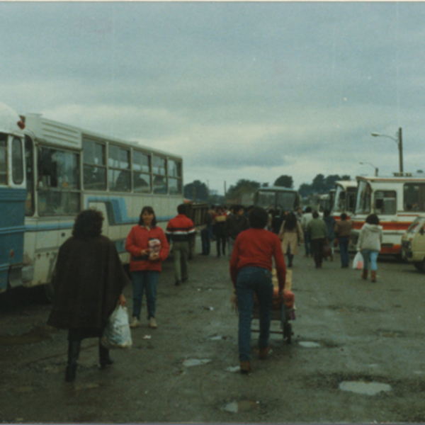 Terminal de buses