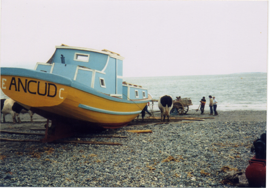 La flor del mar