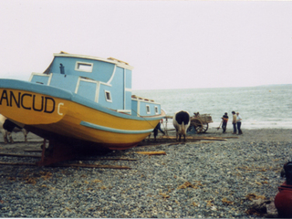 La flor del mar