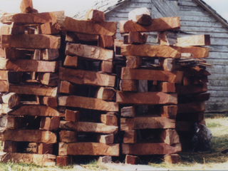Rayos de madera Rayos de madera