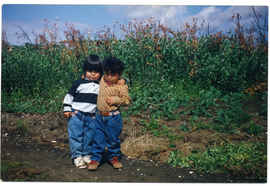 Primos Primos