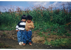 Primos Primos