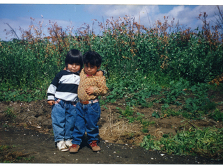 Primos Primos