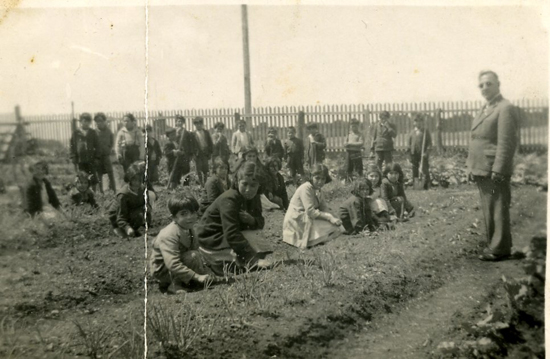 Cosecha de papas en la Escuela Pudeto