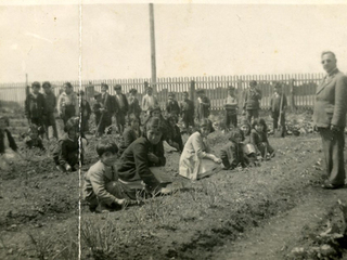 Cosecha de papas en la Escuela Pudeto