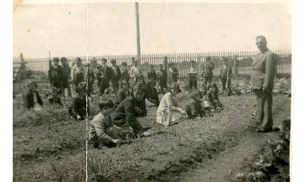 Cosecha de papas en la Escuela Pudeto