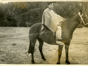 Carrera de caballos