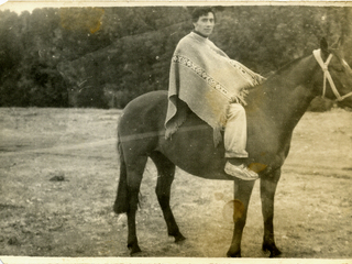 Carrera de caballos