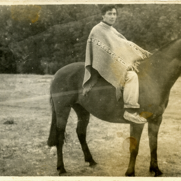 Carrera de caballos