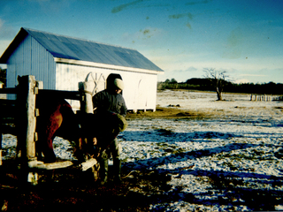 Herradura de caballo