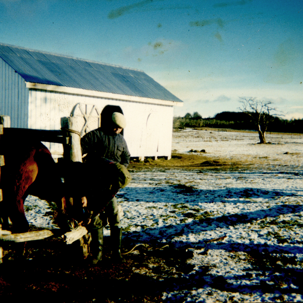 Herradura de caballo