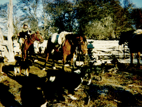 Encaste de animales Encaste de animales