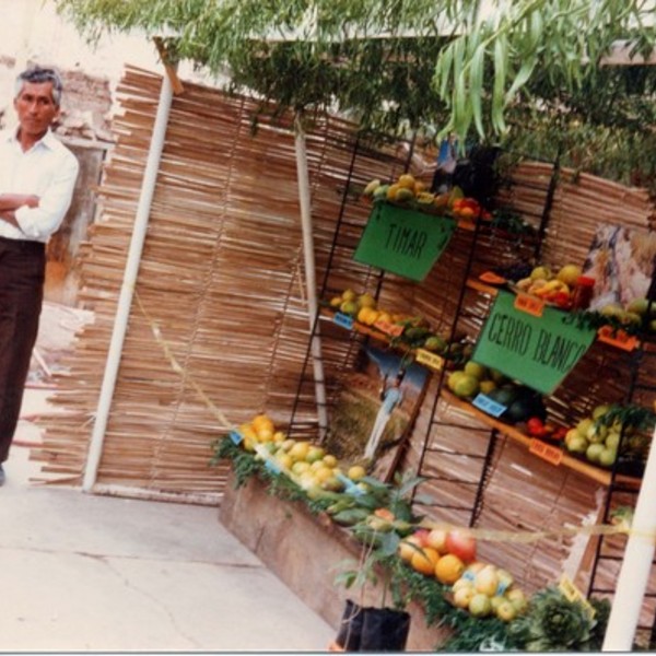 Exposición de fruta en la vendimia