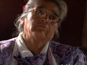 Traslado de una familia mapuche a Pichimaule Traslado de una familia mapuche a Pichimaule