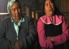 Pérdida de tierras mapuche en Elicura