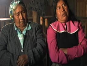 Pérdida de tierras mapuche en Elicura