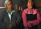 Importancia de la tierra para los mapuche