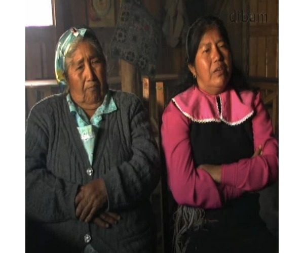 Importancia de la tierra para los mapuche