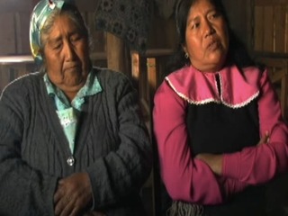 Conflictos por tierras mapuche en la región del Bío- Bío