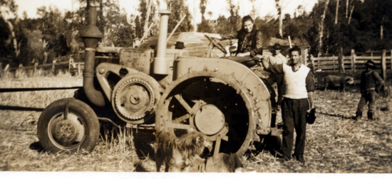 Preparación de la trilla