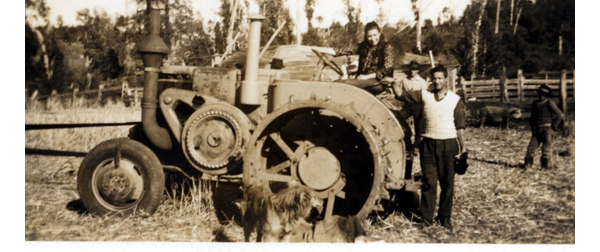 Preparación de la trilla