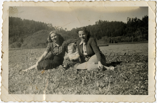 Familia Castellón Familia Castellón