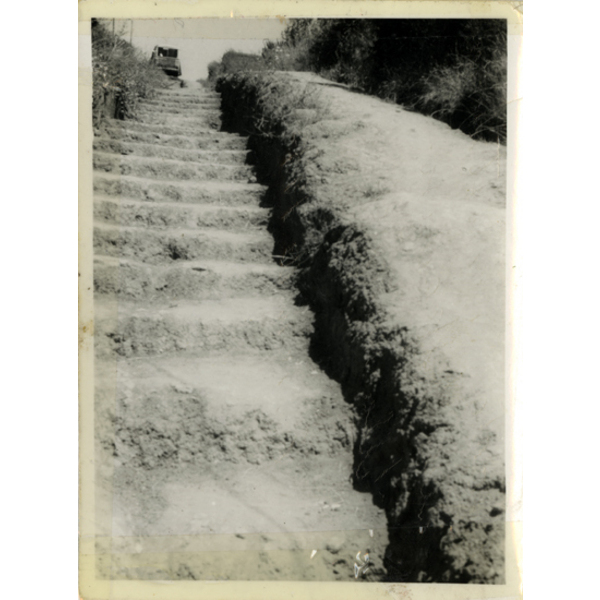 Escalera del cerro Valparaíso