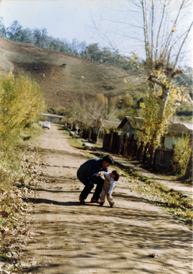 Calle Los Copihues