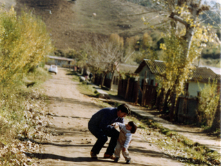 Calle Los Copihues