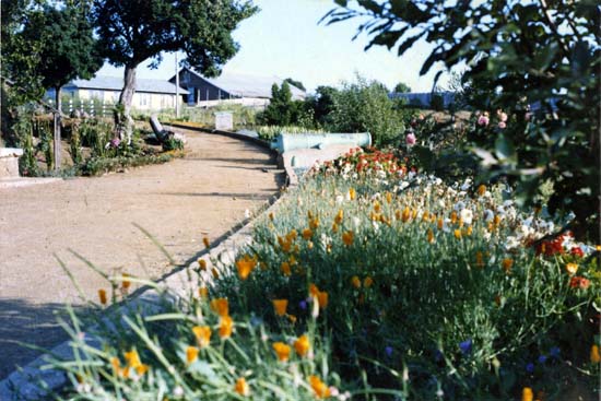 Jardínes del fuerte Tucapel de Cañete