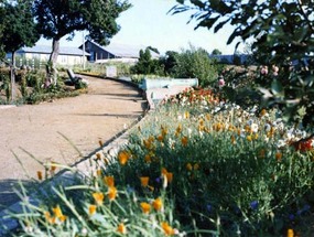 Jardínes del fuerte Tucapel de Cañete