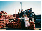 Sindicato de Cantores Urbanos de Chile (SICUCH)