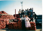 Sindicato de Cantores Urbanos de Chile (SICUCH)