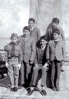 Primos Primos