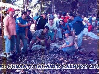 Curanto Curanto