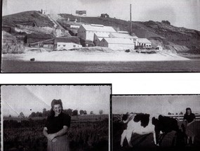 Fábrica de abonos calizos Fábrica de abonos calizos