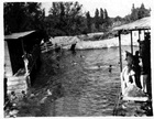 Balneario de Cocha Balneario de Cocha