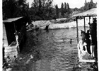 Balneario de Cocha Balneario de Cocha
