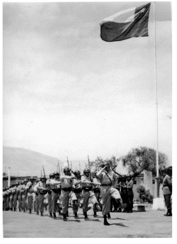 Desfile militar Desfile militar