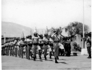 Desfile militar Desfile militar