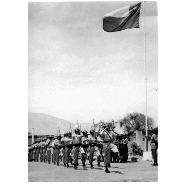 Desfile militar Desfile militar