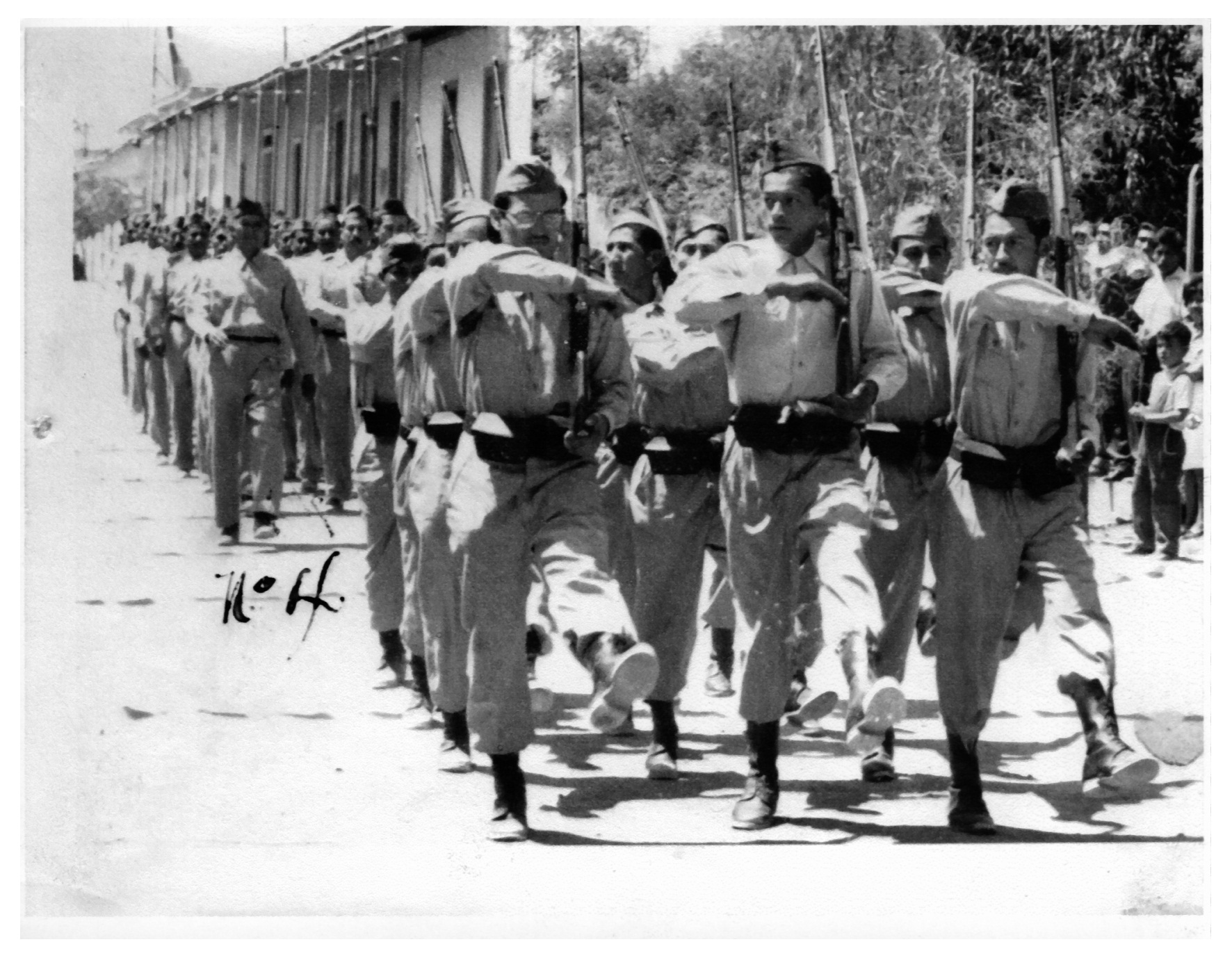 Desfile Desfile