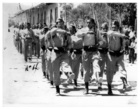 Desfile Desfile