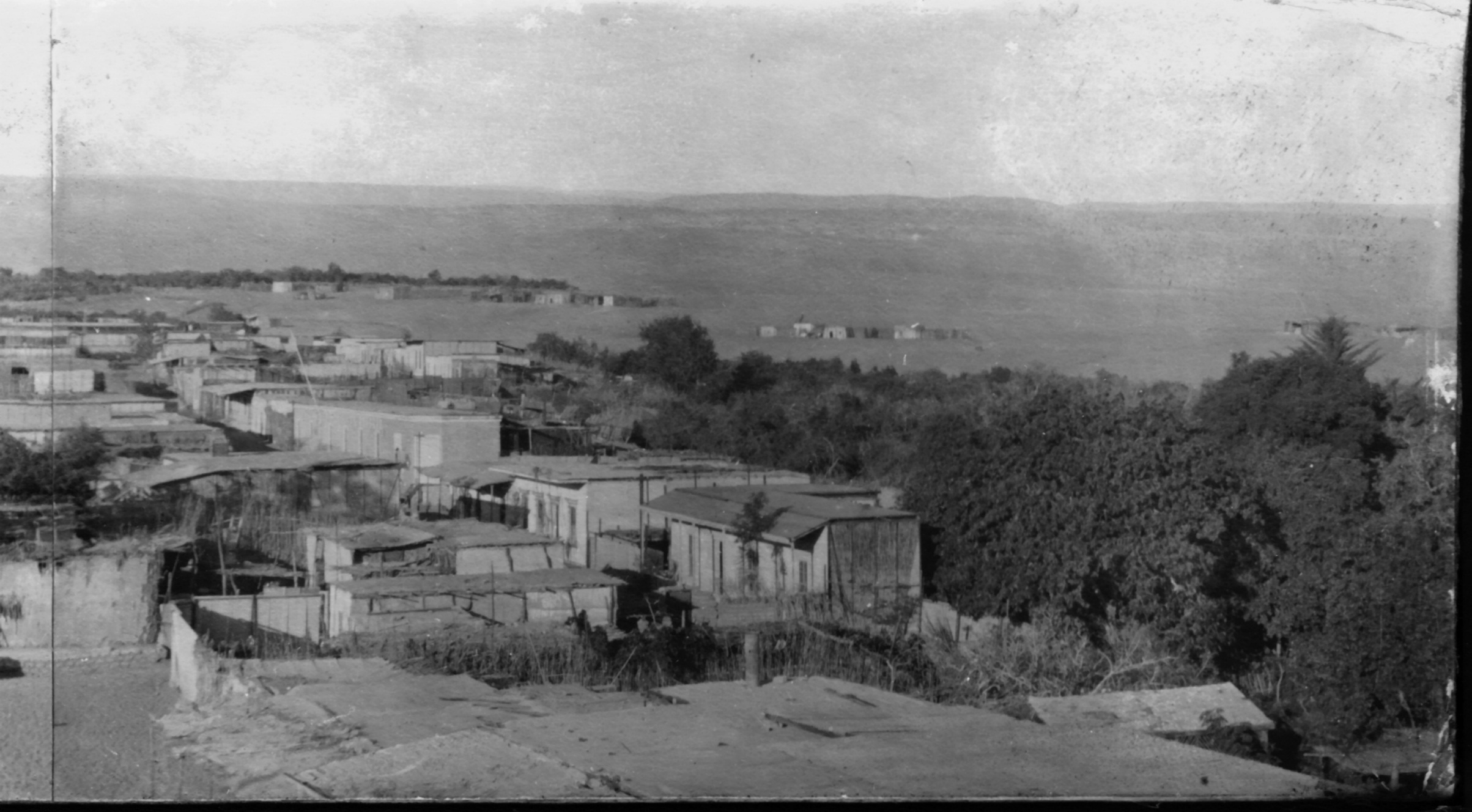 Panorámica del oasis de Pica