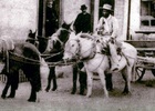 Carreta Carreta