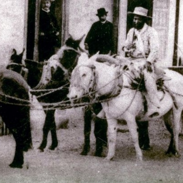 Carreta Carreta
