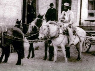 Carreta Carreta