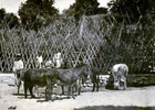 Familia campesina Familia campesina